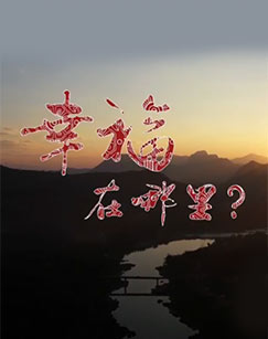 次世代机动警察：首都决战 封面图